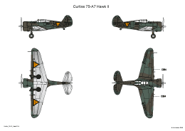 Camouflage scheme of the Curtiss Hawk 75-A7 RNEIAF