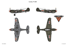 Curtiss P 40N 5 SMALL