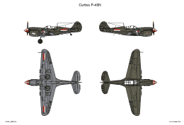 Curtiss P 40N 7 SMALL