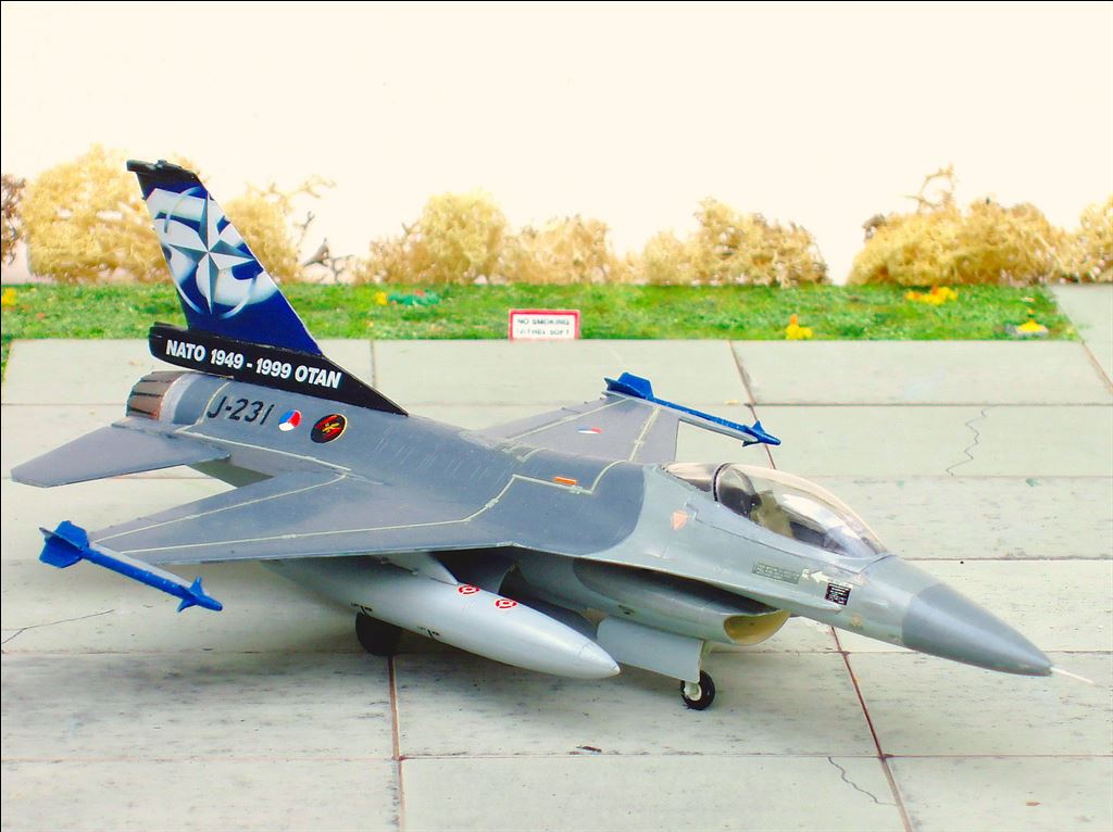 GD F 16A 50 jaar NATO 312 Sqn AKleijn